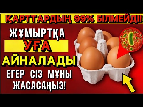 Видео: Неліктен жұмыртқа қарт адамдарға зиян?Тек егер сіз осы  қатені жасасаңыз
