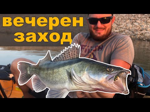 Видео: Бели риби на силикон. Вечерен риболов на язовир Пясъчник през лятото