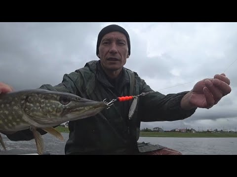 Видео: Рыбалка на щуку на озере Иван Забайкальский край