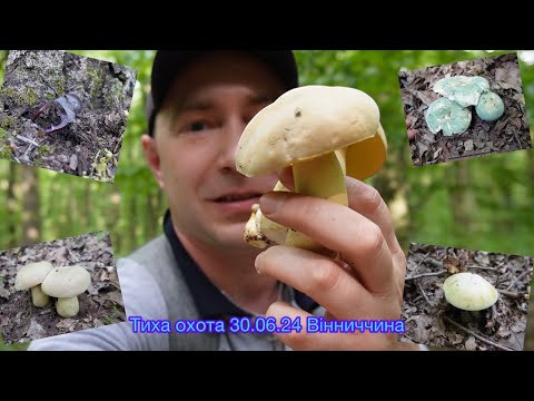 Видео: 4К Пригоди на природі 30.06.24 в селі Шкуринці😊 Вінниччина😉