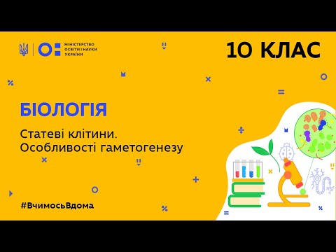 Видео: 10 клас. Біологія. Статеві клітини. Особливості гаметогенезу у людини (Тиж.7:ПТ)