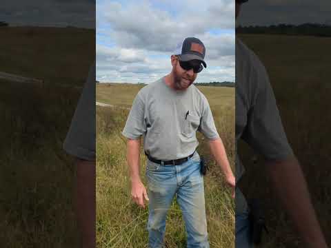 Видео: Простая правда о том, чего следует ожидать в начале