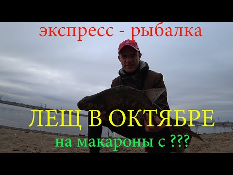 Видео: Экспресс-рыбалка на крупного леща. Макароны с крекерами. #рыбалка #лещ #фидер #донки