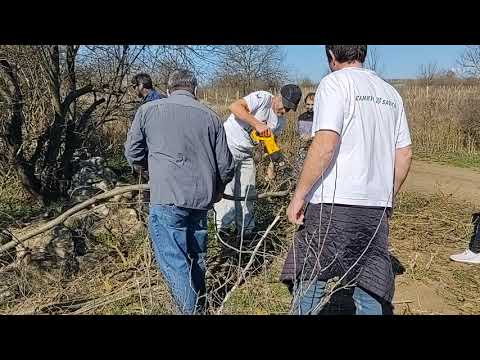 Видео: Ашладисване. Подмладяване на стара джанка