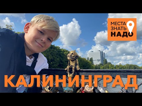 Видео: 20/24. Калининград, Хомлины, Правдинск: Места Знать Надо!