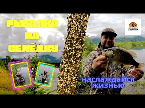 Видео: Shad fishing and bass, Columbia river / Рыбалка на селедку река Колумбия Орегон