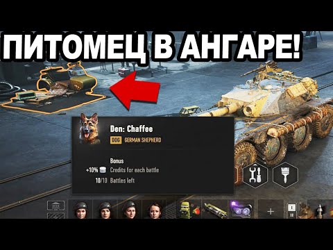 Видео: ВПЕРВЫЕ ЗА 15 ЛЕТ! Питомец В Ангаре WOT 2.0 НАВСЕГДА!