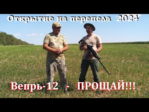 Видео: Охота на перепела - последняя капля / Вепрь-12 - ПРОЩАЙ!!!