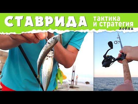Видео: Ставрида на самодур. Ставрида как ловить с берега. Рыбалка на ставриду. Самодур на ставриду.