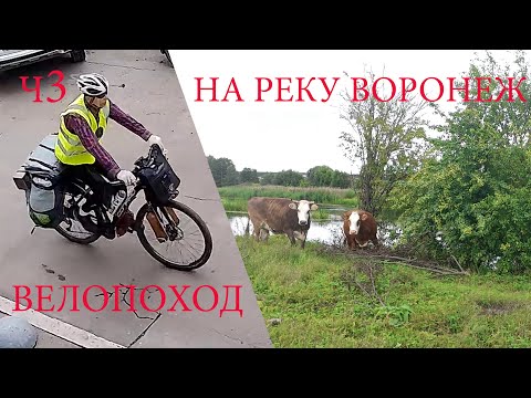 Видео: Велопоход на реку Воронеж. ч3