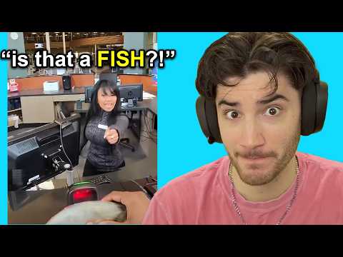 Видео: Безобидные розыгрыши