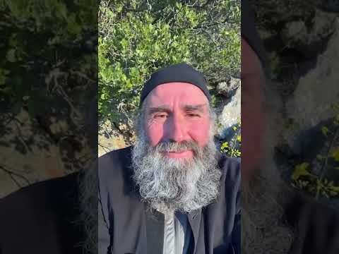 Видео: О чудесах, вере и самоукорении. Запись прямого эфира от 13.04.2022. Монах Андроник. Афон