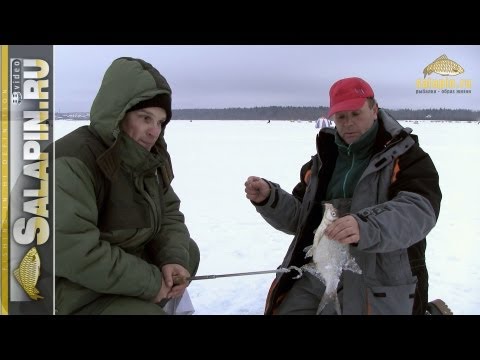 Видео: Ловля подлещика зимой на водохранилищах без течения [salapinru]