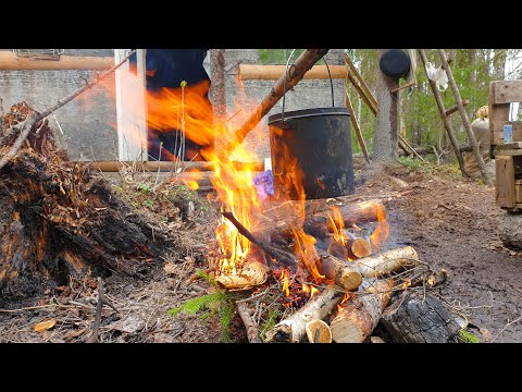 Видео: КАК ЖЕ БЕЗ УХИ НА РЫБАЛКЕ? БЕСТОЛОЧИ СОЖГЛИ ИЗБУ. ДЕЛАЮ ОКУНЯ ХОЛОДНОГО КОПЧЕНИЯ \ УХА НА КОСТРЕ