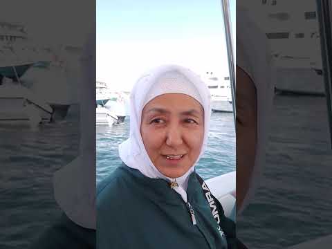 Видео: 31 октября 2025 г.