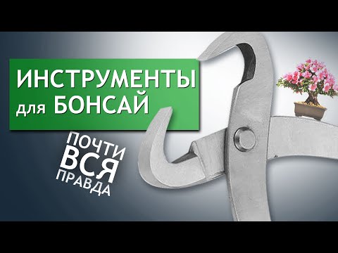 Видео: ИНСТРУМЕНТЫ для БОНСАЙ | Overview of several basic Bonsai Tools.