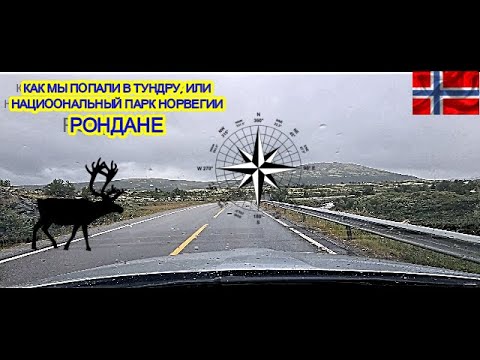 Видео: НОРВЕГИЯ, КАК НАС ЗАНЕСЛО В ТУНДРУ