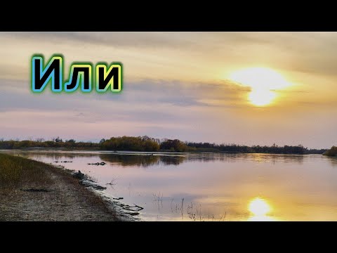 Видео: Или-верхнее течение | Рыбалка | 24-26 октября 2025