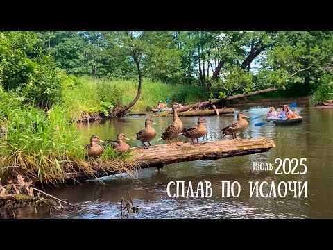 Видео: Сплав по Ислочи. Июль 2025