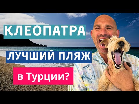 Видео: Утро. Море. Семик. Разговоры о жизни и голоде | Алания, пляж Клеопатра 09 июня