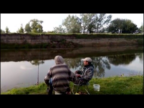 Видео: Рибалка на сома (р.Стир)
