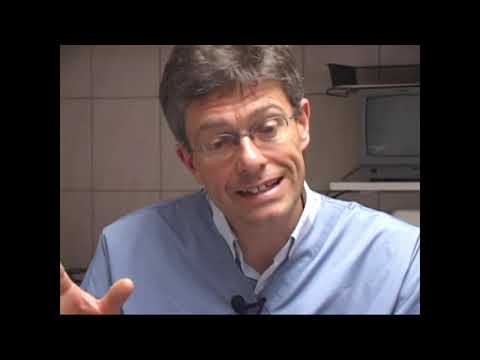 Видео: николаевские голуби О чем говорят чемпионы 5 часть \ маточный период\