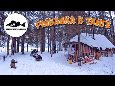 Видео: Зимняя рыбалка на лесных озерах, ночуем в избе .Буран за 50 тысяч или мотособака? на чем добраться?