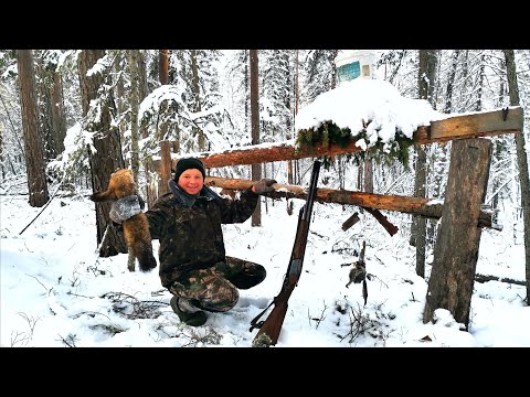 Видео: Заезд в Тайгу. Проверка капканов. Потеряли собак