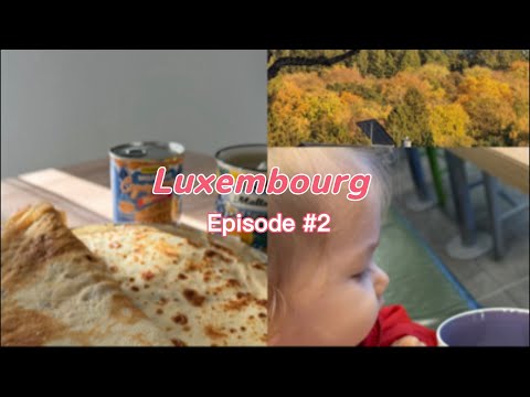 Видео: Лечу зубы в Люксембурге | прием у педиатра | сортирую игрушки | 