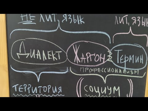 Видео: ЛЕКСИКОЛОГИЯ. Диалектизмы. Жаргонизмы. Термины.
