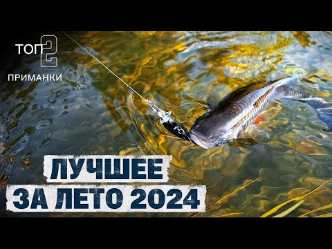 Видео: ЛУЧШИЕ поклевки ГОЛАВЛЯ за 2024 год. ТОП 2 ПРИМАНКИ. 