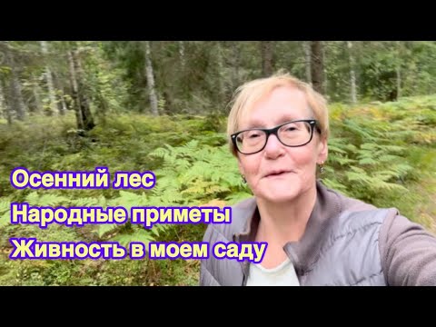 Видео: #жизньвфинляндии Осень в лесу. Лягушка в саду. Народные приметы. Верить или нет 🙂‍↔️ 