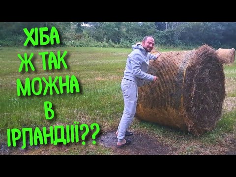 Видео: МАКСИМ КРАДЕ СІНО В ТЕЛЯТ.  ІРЛАНДСЬКА ФЕРМА ,ЗІПСОВАНЕ СІНО ТА НАША ПОДОРОЖ СЕЛОМ