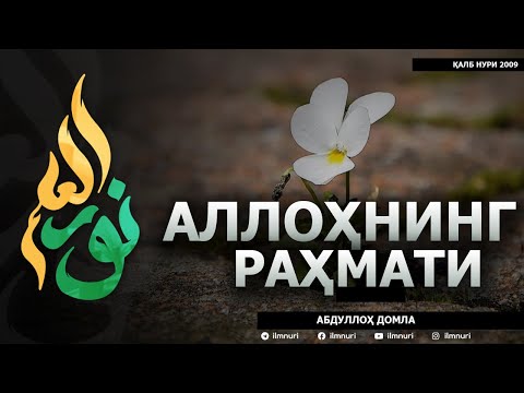 Видео: АЛЛОҲНИНГ РАҲМАТИ - АБДУЛЛОҲ ДОМЛА
