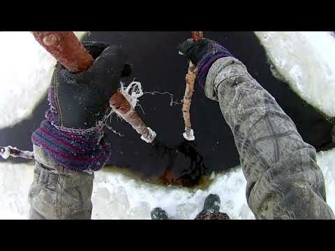 Видео: Зимняя рыбалка в Коми , витили, р. Вычегда