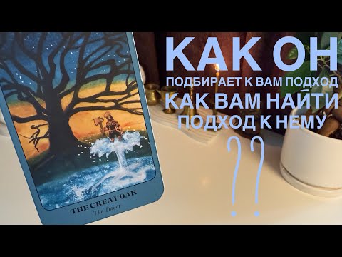 Видео: Как он подбирает к вам подход? Как вам найти подход к нему?