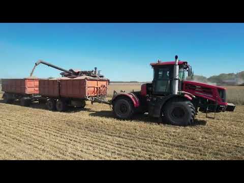 Видео: Уборочная 2024