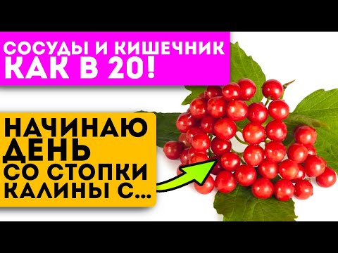 Видео: Советы от прабабки! Ни разу не была в больнице! Для ЖКТ, легких, сердца и даже…