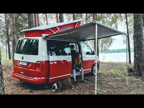 Видео: Забрал машину мечты! VW California. Дом на колесах!