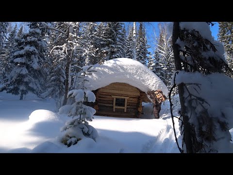 Видео: НЕДЕЛЮ В ТАЙГЕ. БЫТОВЫЕ ДЕЛА И ТАËЖНАЯ ВОЗНЯ. ЖИЗНЬ В ТАËЖНОЙ ИЗБЕ КАК ОНА ЕСТЬ.