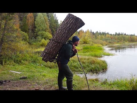 Видео: ЖИВУ ОДИН В ЛЕСУ, ХИЖИНА НА РЕКЕ ВДАЛИ ОТ ЦИВИЛИЗАЦИИ
