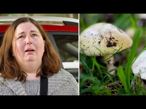 Видео: Podcast #39 Хортой мөөгөөр хордуулж алсан гэх Erin Patterson-ы хэрэг