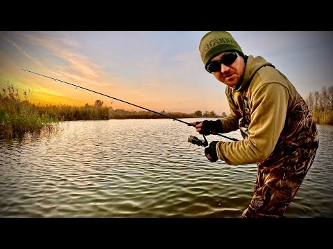 Видео: Ловля ЩУКИ з БЕРЕГА! Ходова рибалка з ТОПОВОЮ СНАРЯГОЮ!