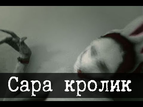 Видео: SCP-2792 - Сара, Снежный Кролик