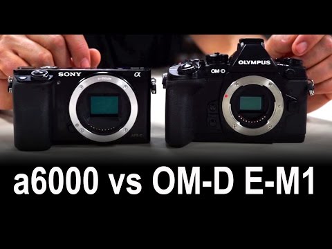 Видео: Olympus OM-D E-M1 в сравнении с Sony a6000. Обзор и тест беззеркальных камер