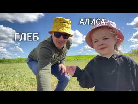 Видео: Выпуск 001. Даровской. Лето 2024