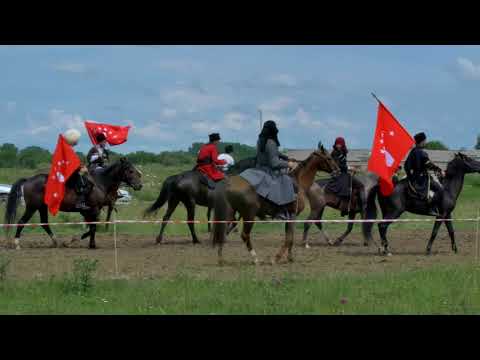 Видео: Cкачки