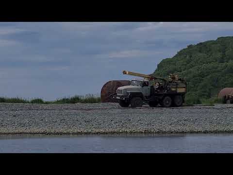 Видео: Бечевинские медведи