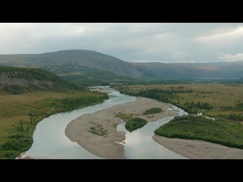 Видео: Волонтёры в ямальском природном парке "Ингилор"