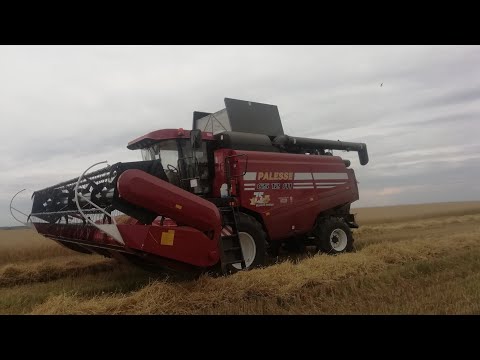 Видео: Сплошные неудачи с Новым комбайном GS-12 A1
